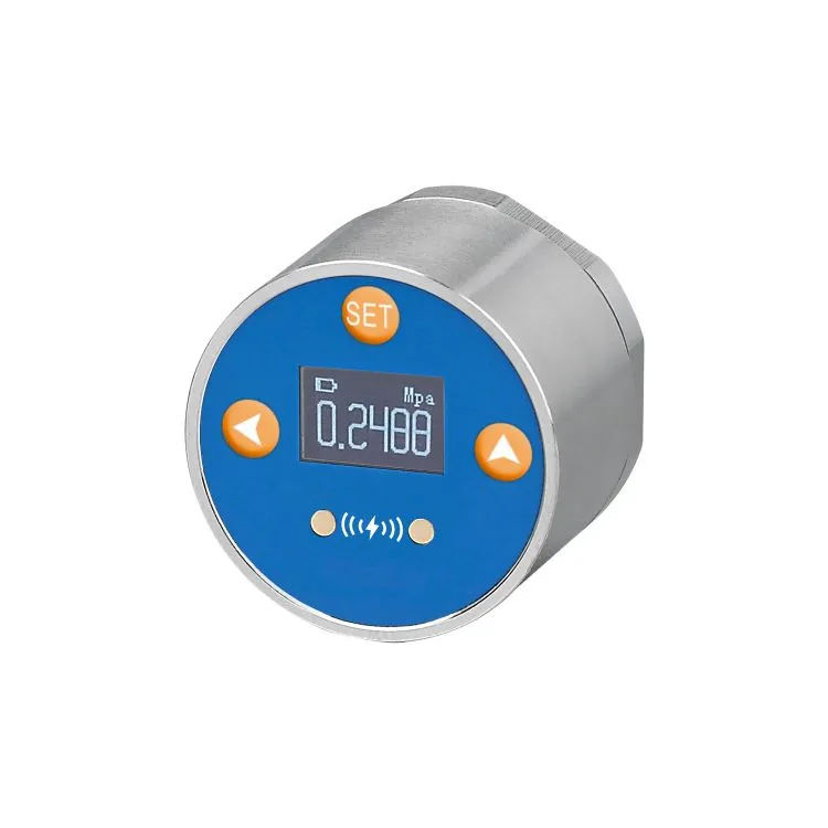 High-Pressure Mini Digital Pressure Gauges: A Compact Solution for Precision Measurement
