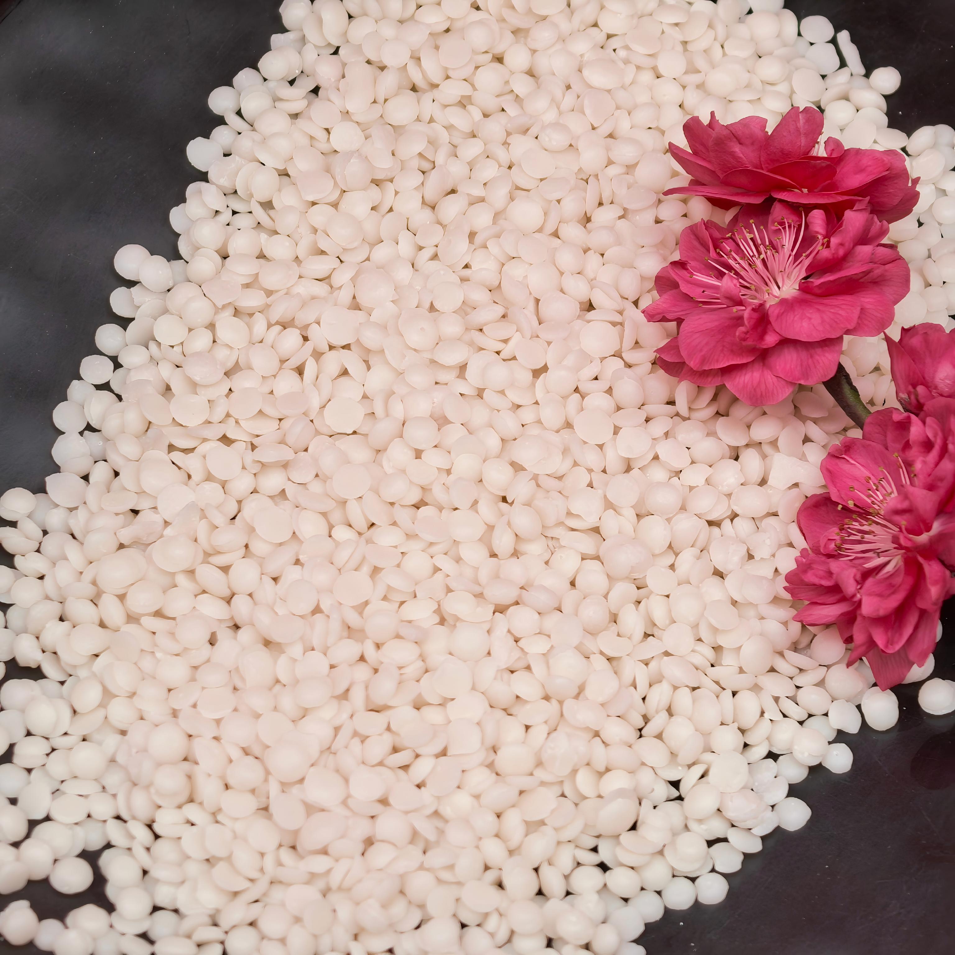 Bulk Berry Wax Supplier: High-Quality Natural Solutions for Your Business
